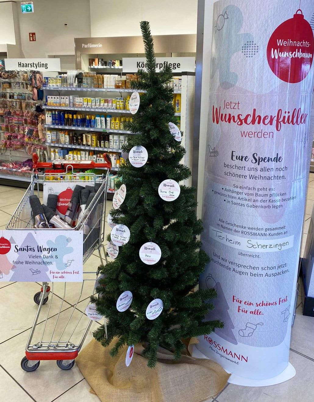 Weihnachts-Wunschbaum im Rossmann Gundelfingen – Tierrettungsdienst Freiburg  Hilfswerk Tier 